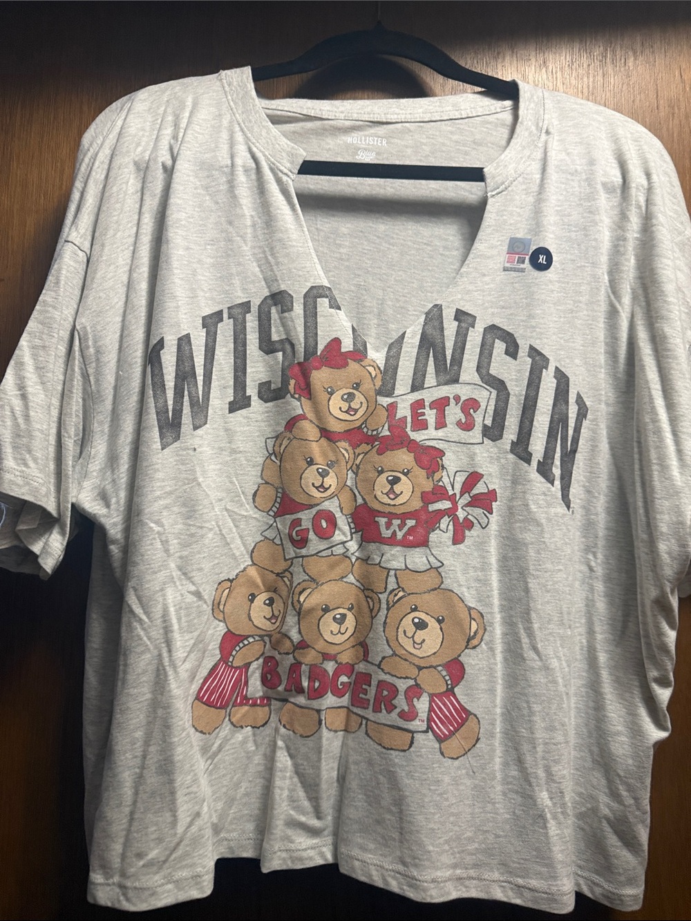 Hollister NWT Wisconsin Badgers Gray cropped Tee